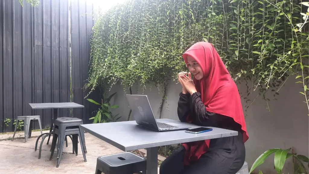 Plugin untuk Website